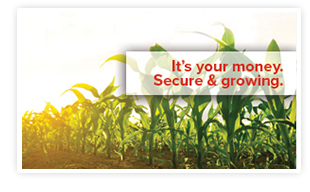 Farm Bureau Bank CDARS and ICS